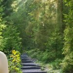 Ayurveda and yoga