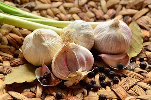 Garlic for health